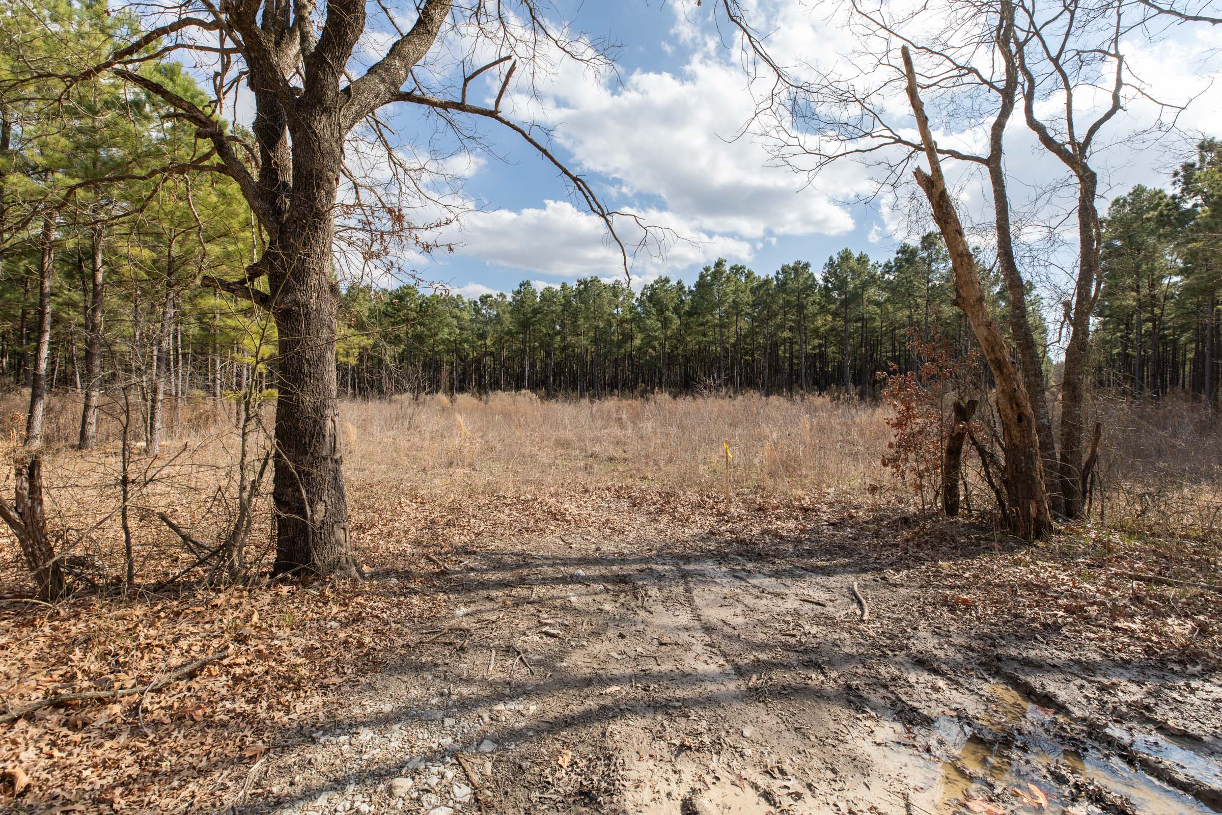 Tract 47 at Wishing Star Ranch in Red River County, Texas