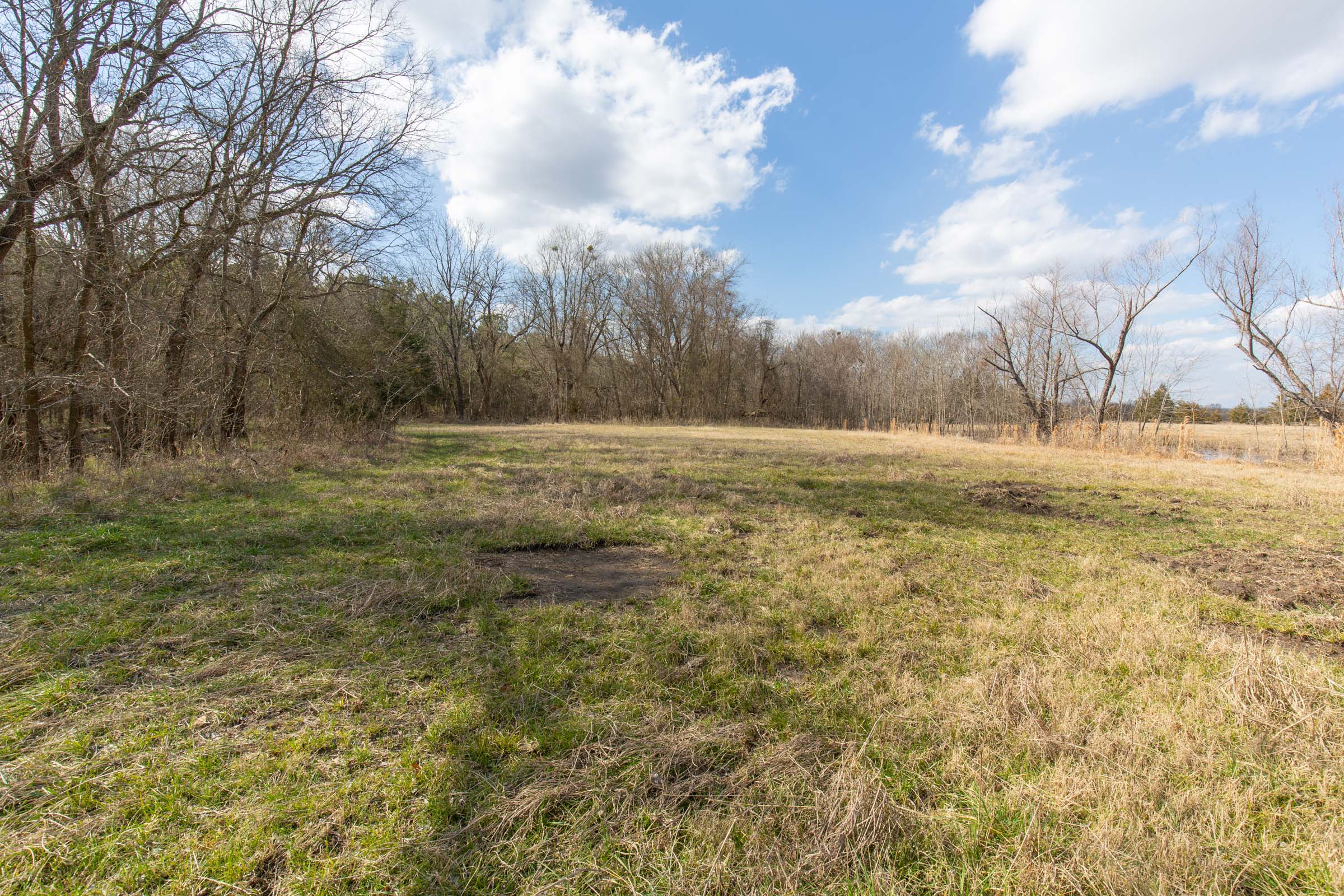 Tract 64 at Wishing Star Ranch in Red River County, Texas