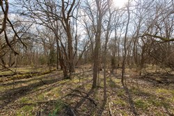 property photo for Wishing Star Ranch Tract 65, 6.92 acres for sale in Red River County, Texas
