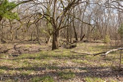 property photo for Wishing Star Ranch Tract 65, 6.92 acres for sale in Red River County, Texas
