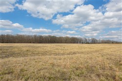 property photo for Wishing Star Ranch Tract 67, 6.99 acres for sale in Red River County, Texas