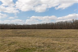 property photo for Wishing Star Ranch Tract 67, 6.99 acres for sale in Red River County, Texas