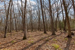 property photo for Wishing Star Ranch Tract 67, 6.99 acres for sale in Red River County, Texas