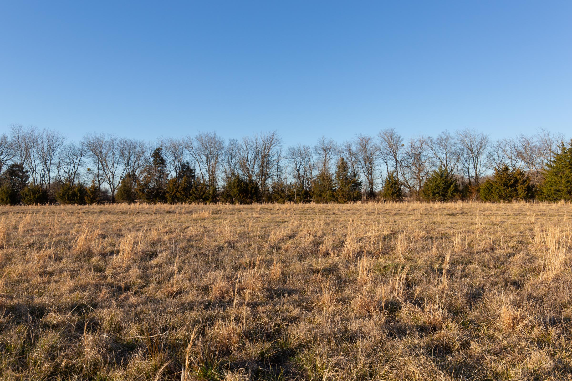 Tract 71 at Wishing Star Ranch in Red River County, Texas