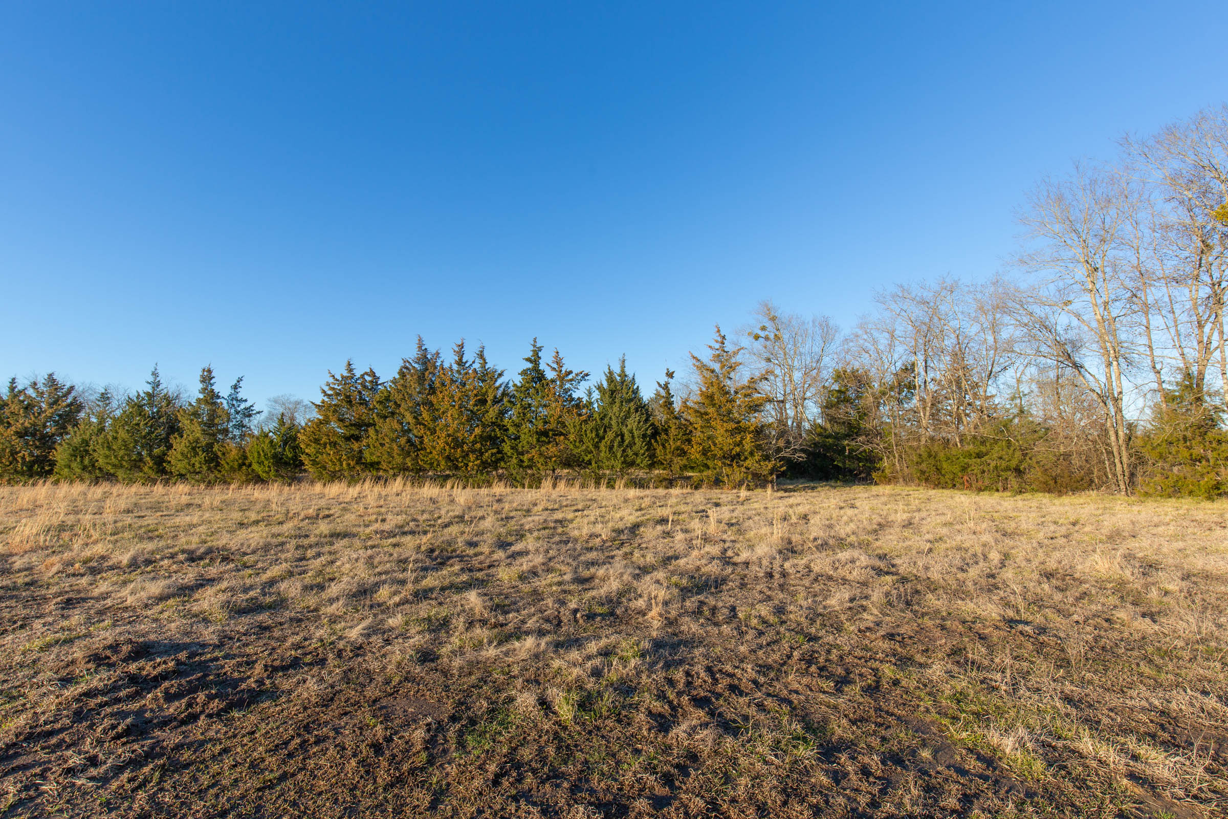 Tract 72 at Wishing Star Ranch in Red River County, Texas