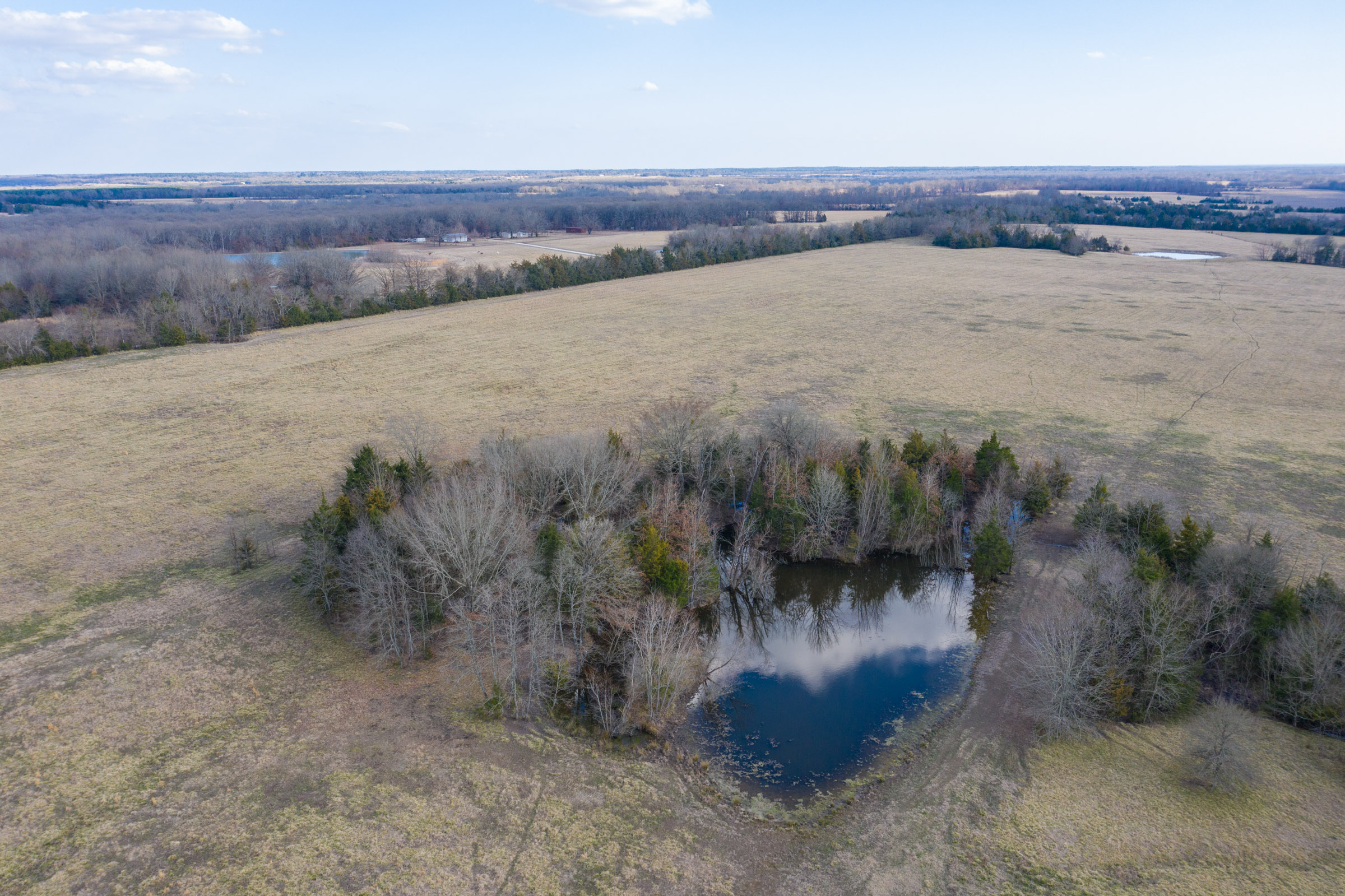 Tract 75 at Wishing Star Ranch in Red River County, Texas