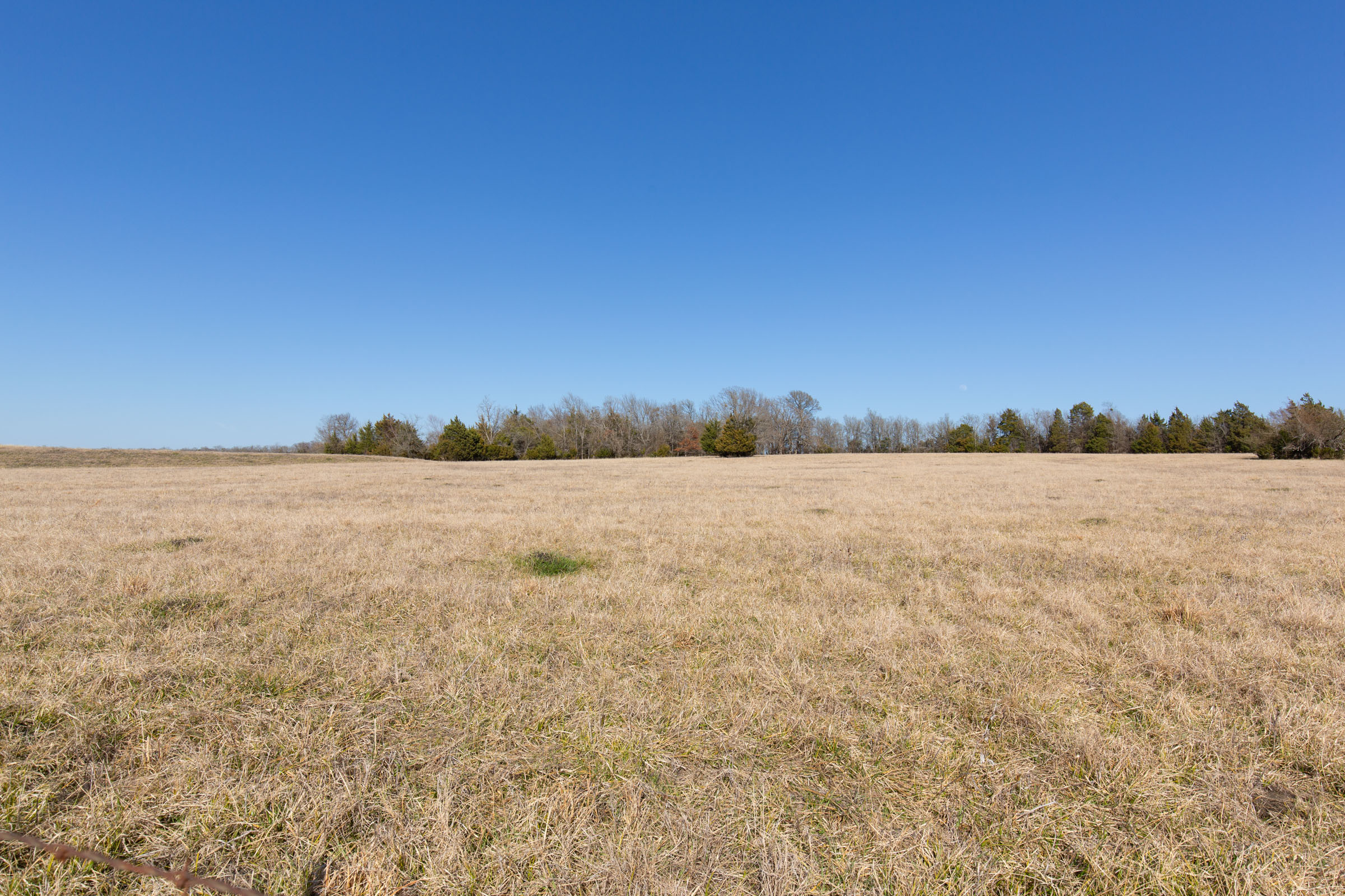 Tract 83 at Wishing Star Ranch in Red River County, Texas